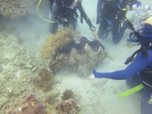 GiantClam